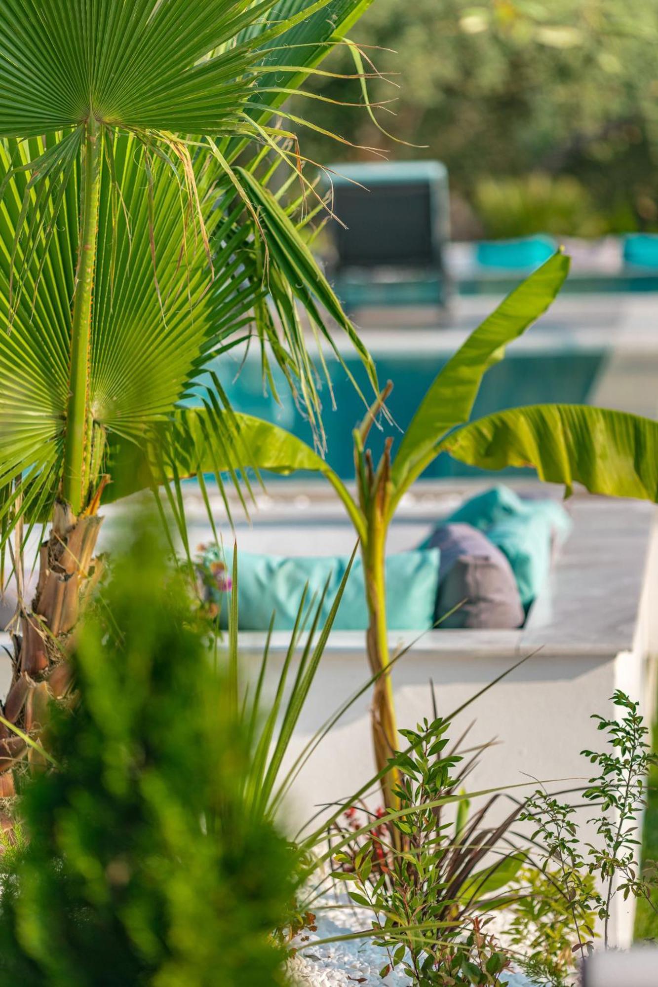 Nooa Villas Skala Rachoni  المظهر الخارجي الصورة